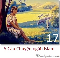 5 CÂU CHUYỆN NGẮN ISLAM (PHẦN 17)