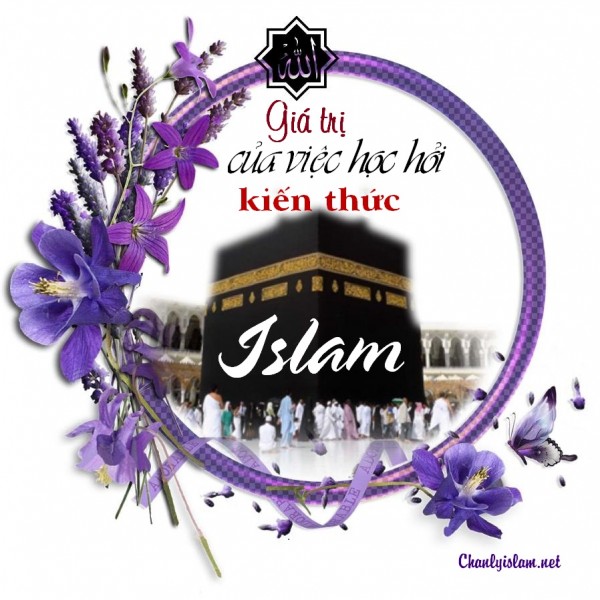 BÀI VIẾT VÀ THUYẾT GIẢNG AUDIO: "GIÁ TRỊ CỦA VIỆC HỌC HỎI KIẾN THỨC ISLAM"